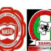Big Hope for Students as SSANU and NASU suspend strike